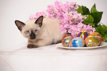 Easter and Your Pet